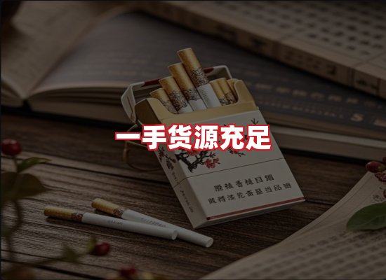 专业团队